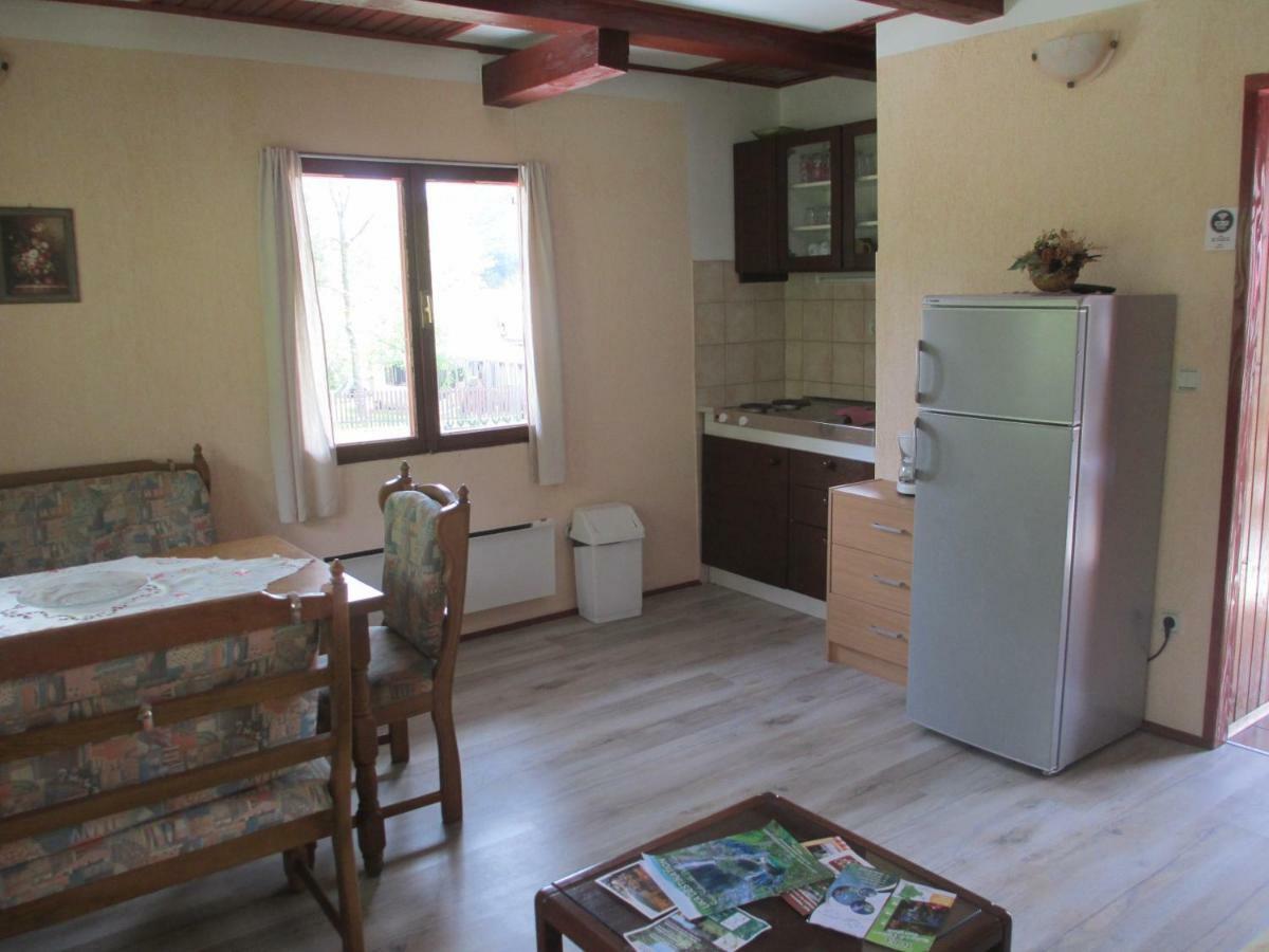 Apartments Family Trauber Korenica Bagian luar foto